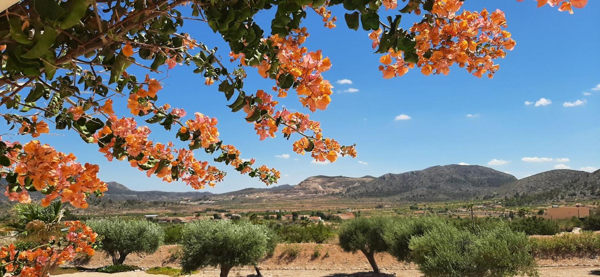 Vila Casa Algezar Hondón de las Nieves Exteriér fotografie