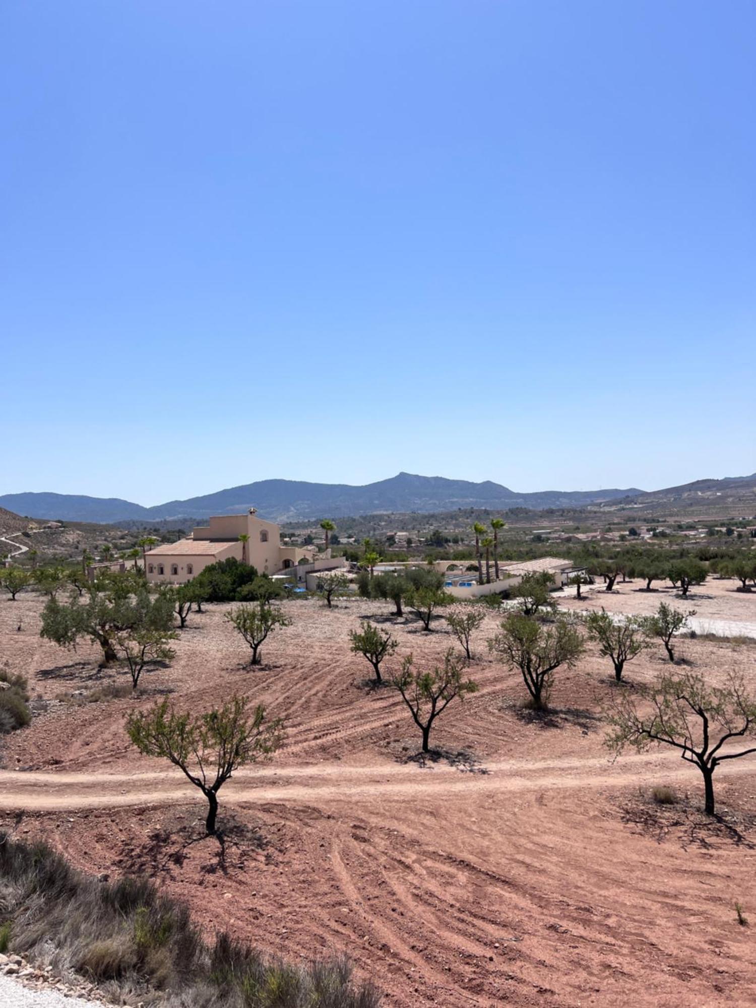 Vila Casa Algezar Hondón de las Nieves Exteriér fotografie